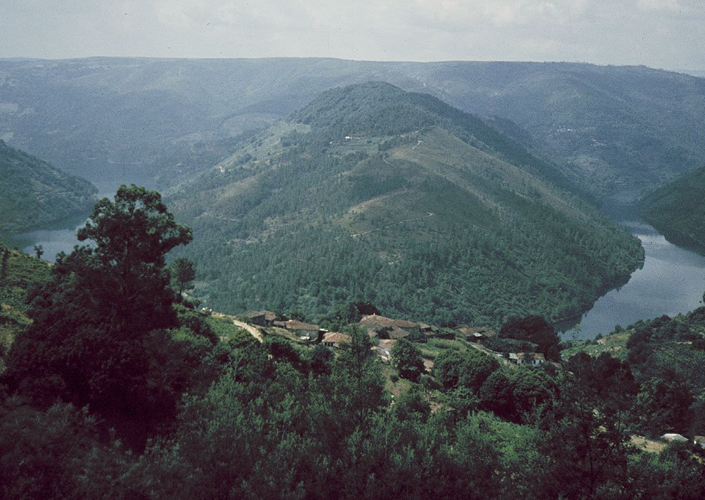 The view of the green, hilly Galician countryside on a misty day looks westwards across a bend in the Miño River to a large sloping promontory. On the photographer's side of the river, one can see the red tile rooftops of the houses of a hamlet below.